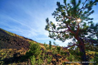 Monte_Nero_degli_Zappini - 08-11-2012 10-40-42.JPG